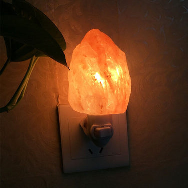 Rose Salt Wall Lamp Night Light-Your Soul Place